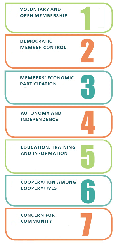7principles_2