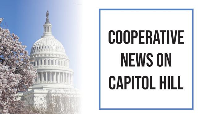 news - image